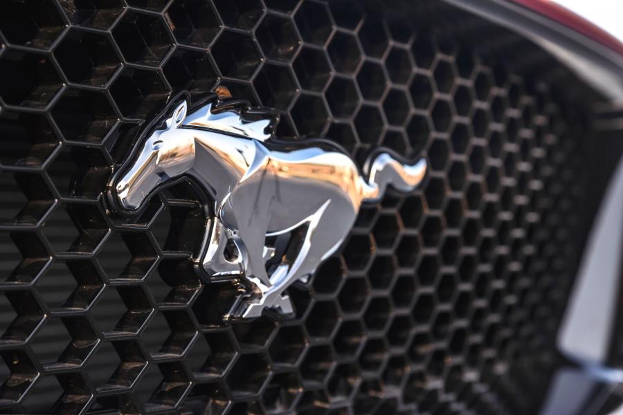 Логотип Ford Mustang GT Fastback 2019 года  (ZA) (фото 24 из 44)